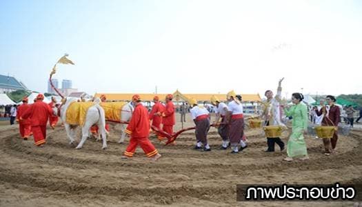 แรกนาขวัญปี 57 พระโคเสี่ยงทายกินน้ำ-กินหญ้า น้ำท่าบริบูรณ์ดี