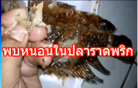 ช่างเสริมสวยชาวสมุยโพสต์พบหนอนในปลาราดพริก ขนาดเท่าเมล็ดข้าวสาร