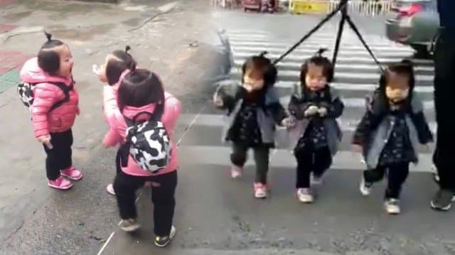 (คลิป) โมเม้นน่าเอ็นดู! หนูน้อยแฝด 3 แห่งเมืองจีน เดินเตาะแตะไปโรงเรียน ทำชาวเน็ตตกหลุมรักทั้งประเทศ