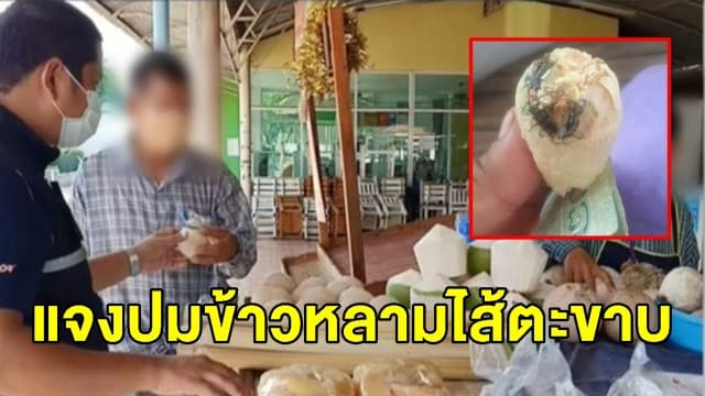 ร้านแจงปมแหวะ สาวโพสต์ข้าวหลามตะขาบยัดไส้ เป็นคนรู้จักฝากขาย