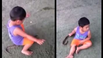 หวาดเสียว! ชาวเน็ตสับเละ คลิปเด็กนั่งเล่นงู พ่อแม่คอยเชียร์