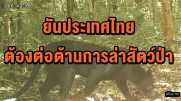 รมว.ต่างประเทศสหราชอาณาจักร ยันประเทศไทยต้องต่อต้านการล่าสัตว์ป่า โดยเฉพาะสัตว์สงวน 