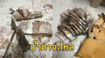 ถึงกับช็อก! เก็บเงินไว้ในซองกระดาษ เจอปลวกแทะเป็นเงินนับล้าน