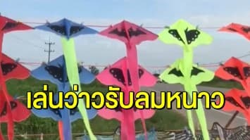 ลมหนาวพัดแรง คนแห่ซื้อว่าวริมถนน ขายดีกำไรวันละ 5 พัน!