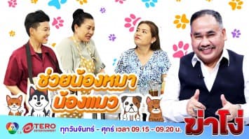 ฆ่าโง่ ep.94 ช่วยน้องหมาน้องแมว  : ต้องขออนุญาตก่อน