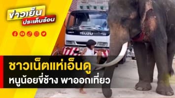 ชาวเน็ตแห่เอ็นดู ! หนูน้อยโชว์วิธีขึ้นขี่ช้าง ก่อนพากันออกไปเดินเที่ยว