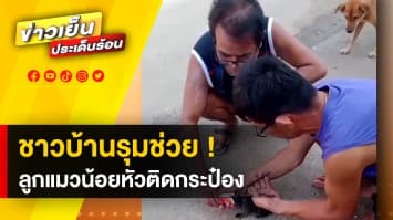 น้องหิวไปหน่อย ! ชาวบ้านช่วยแมวน้อย หัวติดกระป๋อง 
