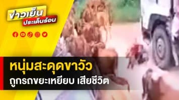 สลด ! หนุ่มเมียนมาสะดุดขาวัวล้ม ถูกรถขยะเหยียบเสียชีวิต