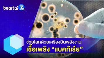 ทางเลือกช่วยโลกใหม่ ! เครื่องบินพลังงานเชื้อเพลิงจากแบคทีเรีย