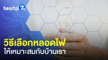 วิธีเลือกหลอดไฟ ใช้แบบไหนถึงประหยัด และเหมาะสมกับบ้านของเรา !
