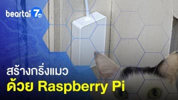 สร้างเครื่องเรียกทาสให้เจ้าเหมียว ! กริ่งแมว ด้วย Raspberry Pi
