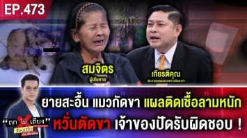 ยายป่วยเบาหวานสะอื้น แมวกัดขา แผลติดเชื้อลามหนัก หวั่นตัดขา เจ้าของปัดรับผิดชอบ !