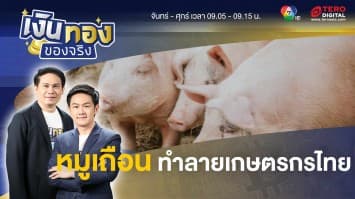 “หมูเถื่อน” ภัยร้ายที่ทำลายเกษตรกรไทย | เงินทองของจริง