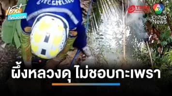 ผึ้งหลวงดุ ไม่ชอบผัดกะเพรา ไล่ต่อยชาวบ้านบาดเจ็บ 3 คน จ.บุรีรัมย์ | เช้านี้ที่หมอชิต