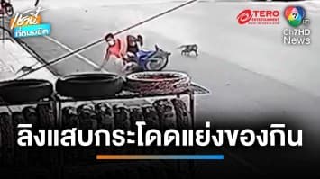 ลิงเหิม ! กระโดดแย่งของกิน ทำรถ จยย.ล้ม บาดเจ็บ จ.ลพบุรี | เช้านี้ที่หมอชิต