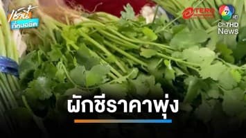 ผักชีราคาพุ่งแตะ 300 บาท ผักอื่น ๆ พาเหรดขึ้นตาม เหตุอากาศร้อน | เช้านี้ที่หมอชิต