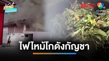 ไฟไหม้โกดังเก็บกัญชาฉะเชิงเทรา คาดสาเหตุจากไฟฟ้าลัดวงจร | เช้านี้ที่หมอชิต