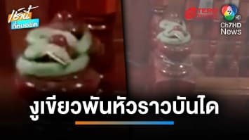 แทบกรี๊ด ! งูเขียวพันหัวราวบันได เจ้าของบ้านหวิดถูกฉก | เช้านี้ที่หมอชิต