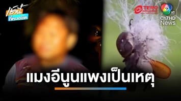 คว้ามีดสปาร์ตา ฟันดับ ปมแย่งพื้นที่จับ “แมลงกินูน” | เช้านี้ที่หมอชิต