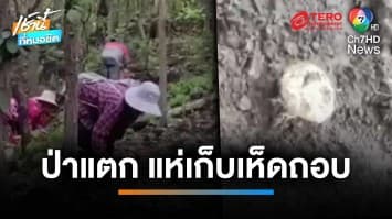คนแห่เก็บ “เห็ดถอบ” ป่าแทบแตก ราคาพุ่ง 700-900 บาท | เช้านี้ที่หมอชิต