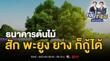 การใช้ต้นไม้เป็นหลักประกันสินเชื่อ: นวัตกรรมทางการเงินที่น่าสนใจ | เงินทองของจริง