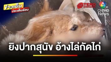 หดหู่ ! ตาวัย 80 ปี ยิงกรอกปากสุนัข อ้างไล่กัดไก่ | ข่าวเย็นประเด็นร้อน
