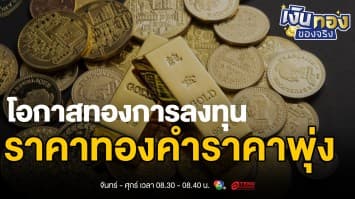 โอกาสทองของนักลงทุน เจาะลึก 4 วิธีลงทุนทองคำในช่วงราคาพุ่งสูง | เงินทองของจริง
