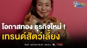 ธุรกิจสัตว์เลี้ยง: โอกาสทองมูลค่า 7.5 หมื่นล้านบาท เติบโต 12 ต่อปี | เงินทองของจริง