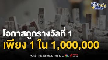 ความเชื่อผิด: เล่นมากกว่า กระจายเล่น = โอกาสสูงกว่า | เงินทองของจริง