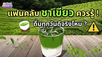“แฟนคลับชาเขียวควรรู้! ดื่มทุกวันดีจริงไหม?”