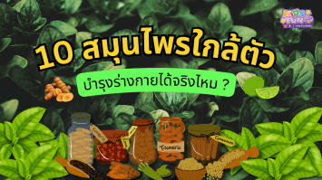 10 สมุนไพรใกล้ตัว บำรุงร่างกายได้จริงไหม ?