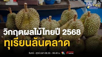 ทุเรียนผลผลิตเยอะ ราคาถูก เกษตรกรปรับตัวอย่างไร ? | เงินทองของจริง