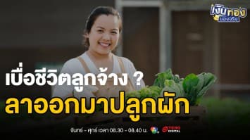 เลิกเป็นลูกจ้าง มาปลูกผัก: ความจริงที่คุณควรรู้ | เงินทองของจริง