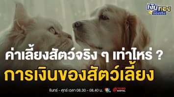ประกันสัตว์เลี้ยงคุ้มไหม? และควรวางแผนการเงินอย่างไรให้ดูแลน้องได้ทั้งชีวิต | เงินทองของจริง