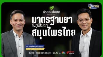 อ้วยอันโอสถ ผสานภูมิปัญญาไทยกับมาตรฐานยาสากล ด้วยคุณภาพที่ตรวจสอบได้ | เงินทองของจริง